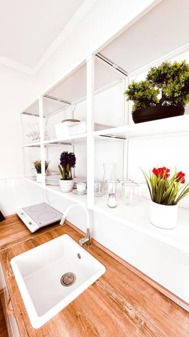 Moderny Apartman S Parkovanim Bratislava Dış mekan fotoğraf